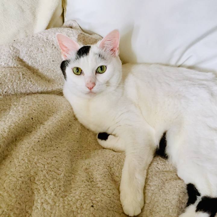 F74360e4 664e 4944 879c 82293d444c56 1565579591561