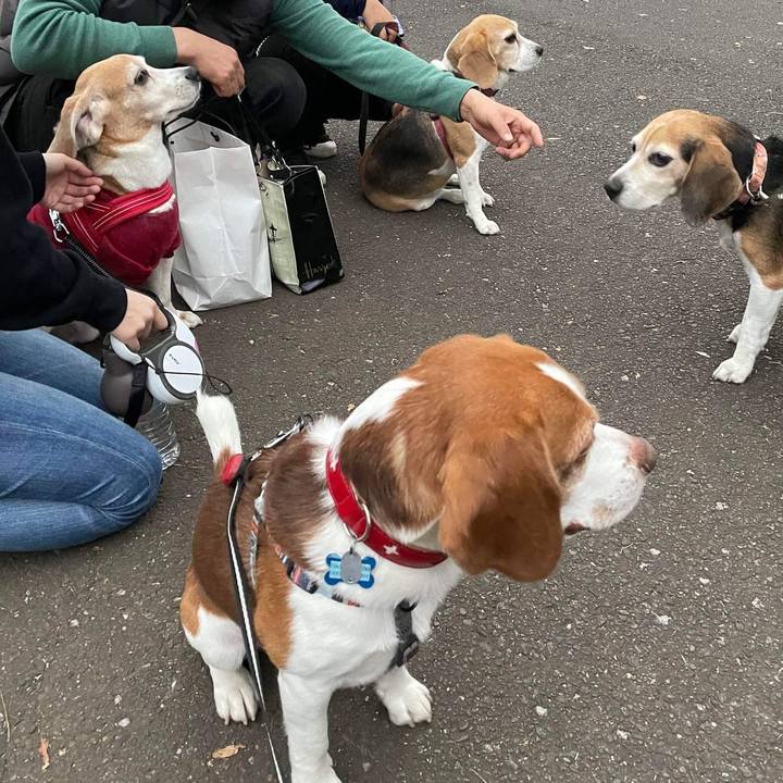 F743a2dc 825c 41a5 898d 5c36d29bea1f 1637495272327