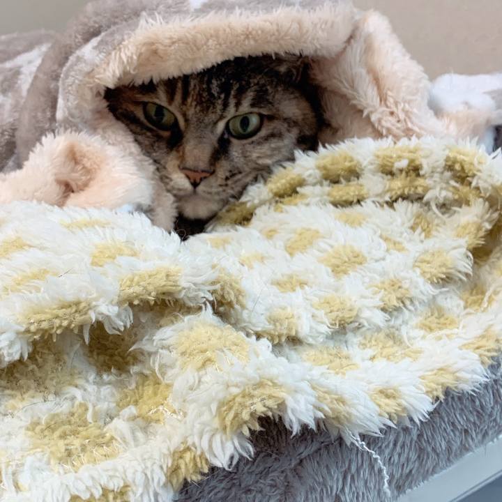 F743b6bc e83d 4f27 8fa0 6822c0560772 1735618093107