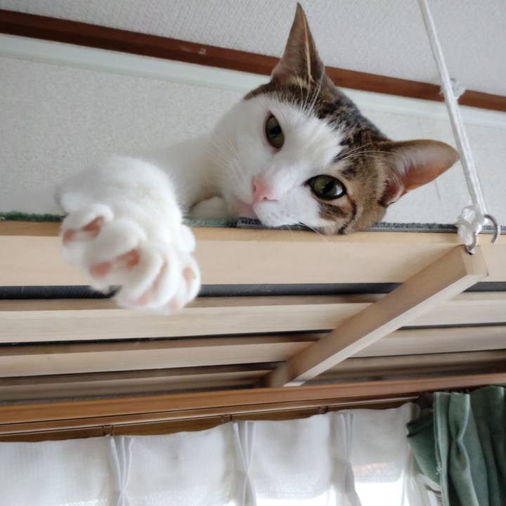 F743faa3 d22e 4bd8 ab3a 6ad93c3a9f69 1672724579877