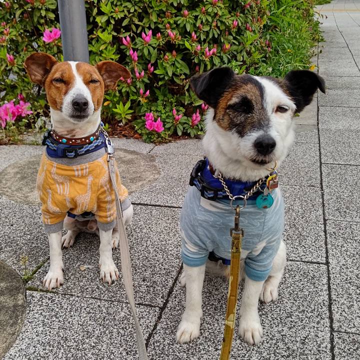 F74427aa 2441 4591 a9e7 88e6b0d7d930 1650236575554