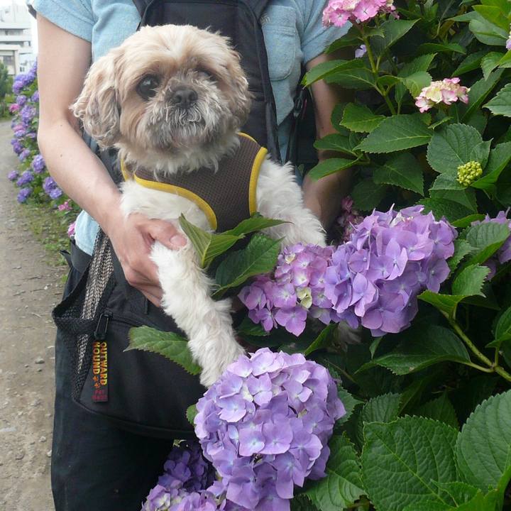 F74445e0 acf2 473c 8635 f4f3a8b8dde8 1527756632675