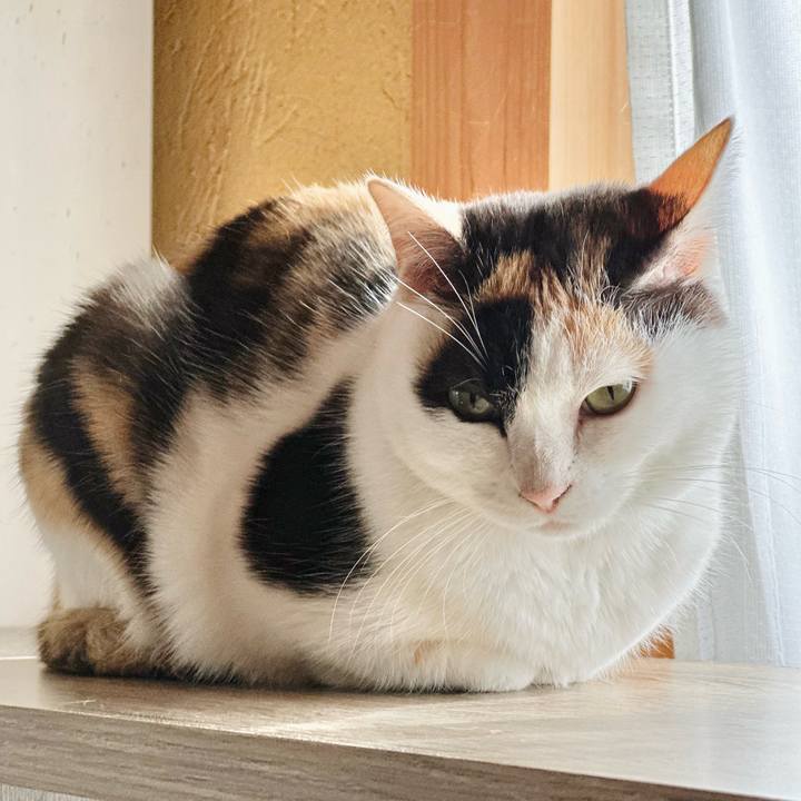 F7445201 0aae 4083 9696 53dbe6789528 1705195583873