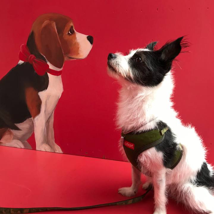 F74474fd 0e76 4afd 9fbb 85ab8dde114b 1604814634295