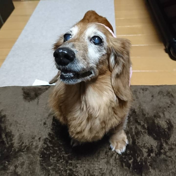 F744c842 4449 4f10 8183 39cbcdb8c618 1514187679357