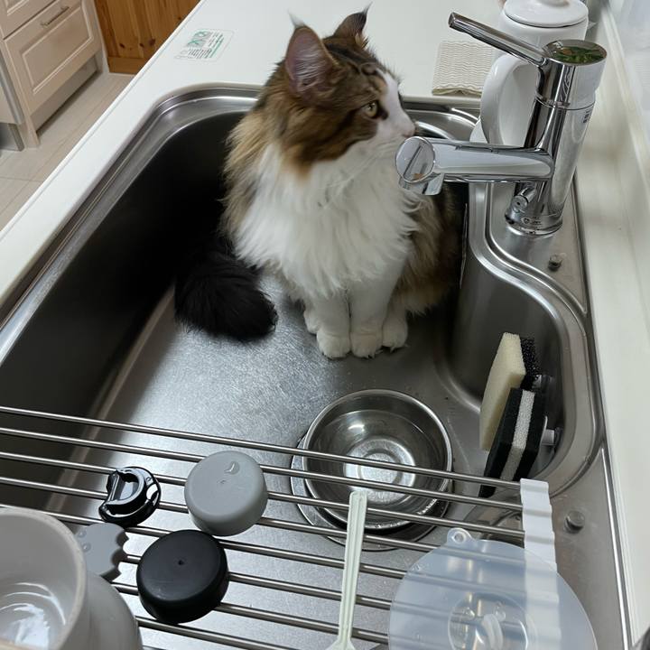 F7450632 e286 469d 9dc9 c3c03191aeb0 1645301884439