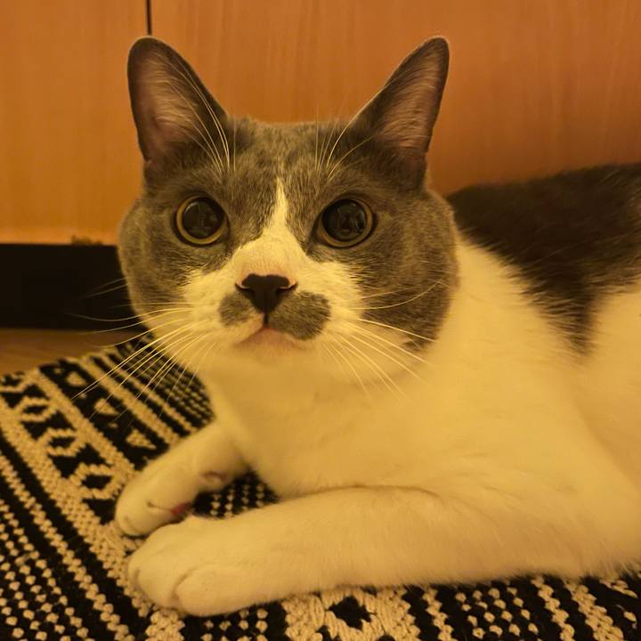 F74516e1 8c2a 48ba 9988 5182339d6632 1663945603283