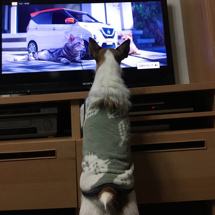 F7452569 db6f 4c54 9cf4 ddce1bfc61b4 1636673083579