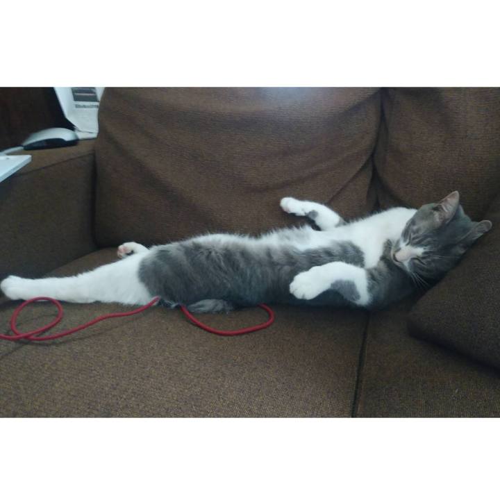 F7452748 b07f 443e afde e28188f63bc1 1594792071038