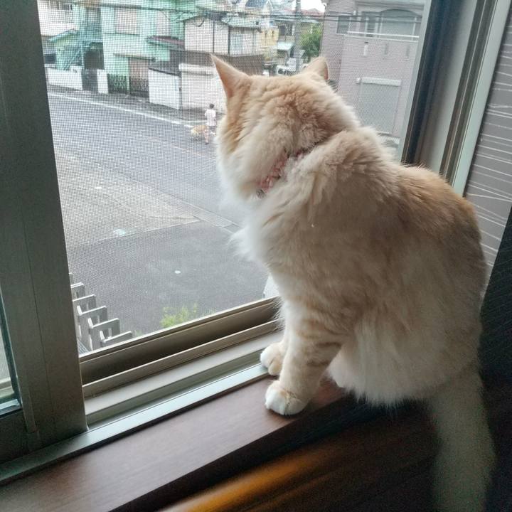 F7453366 47c3 4339 beab 8f6a77d0f4c3 1630190339038