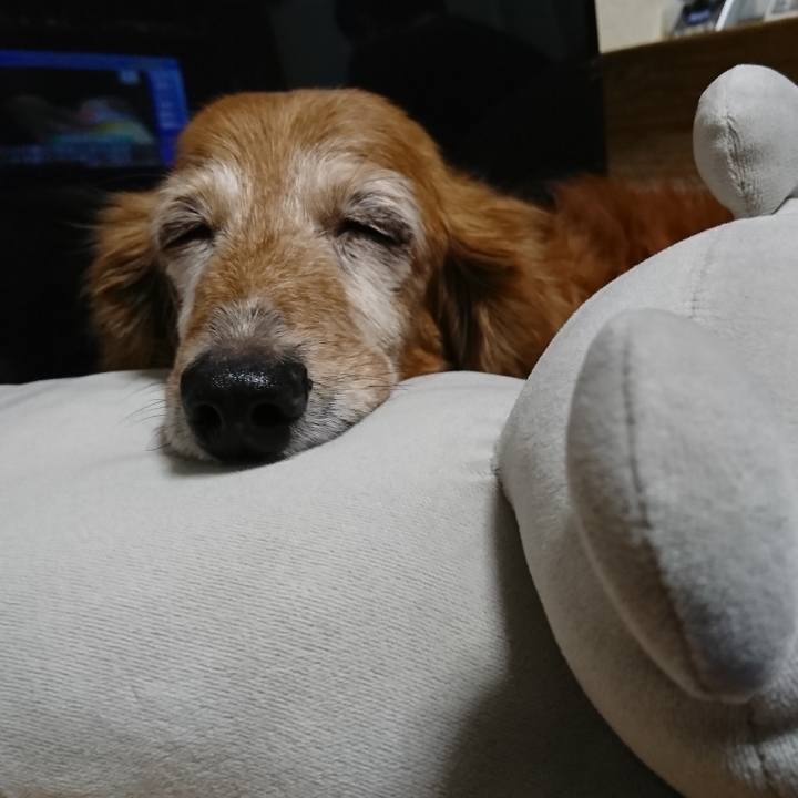 F7453c7e 7354 47c3 95fd 60dfdd709eec 1647536422962