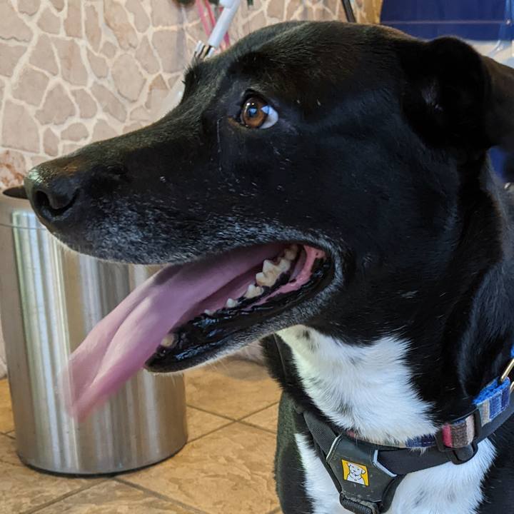 F7455357 1229 47e0 a397 87036bb87eb9 1655117713864