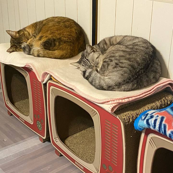 F7458d85 6f04 4e57 a431 fb5edbc2ea64 1638908969352