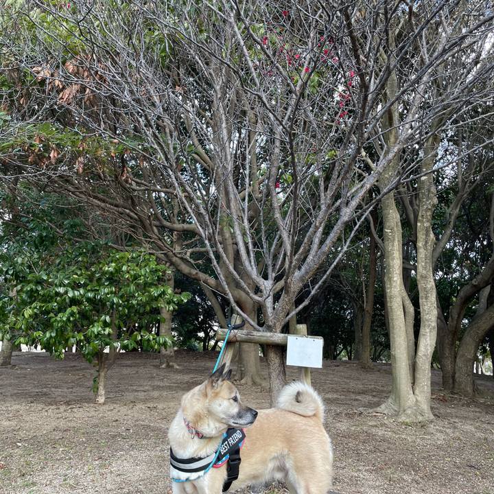 F745a1bc f900 4626 8022 e718413e8dae 1706351620713