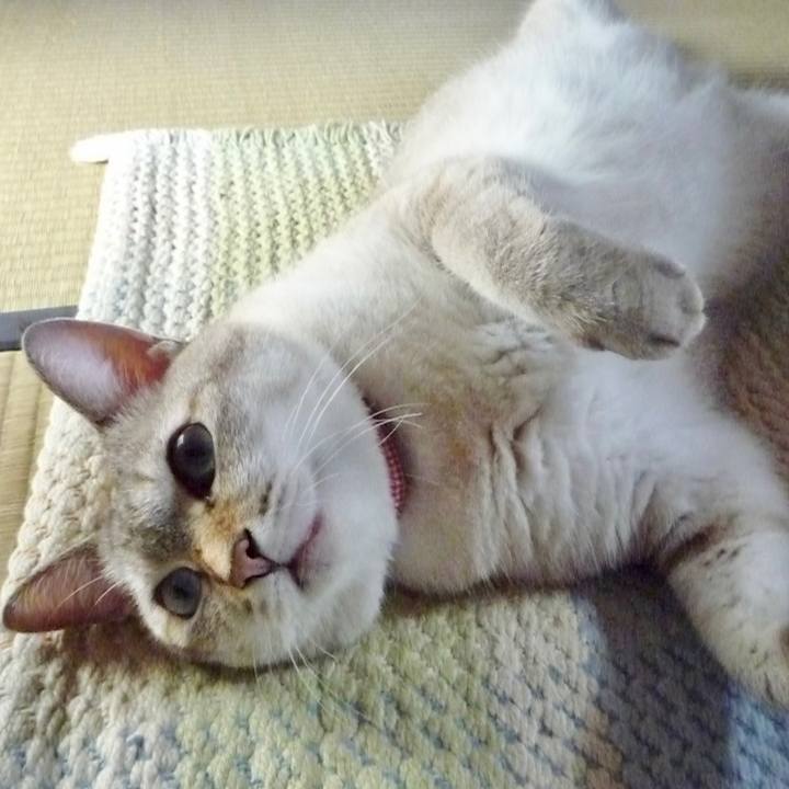 F745b768 876c 473c 8d30 cd5a90201311 1616372869284