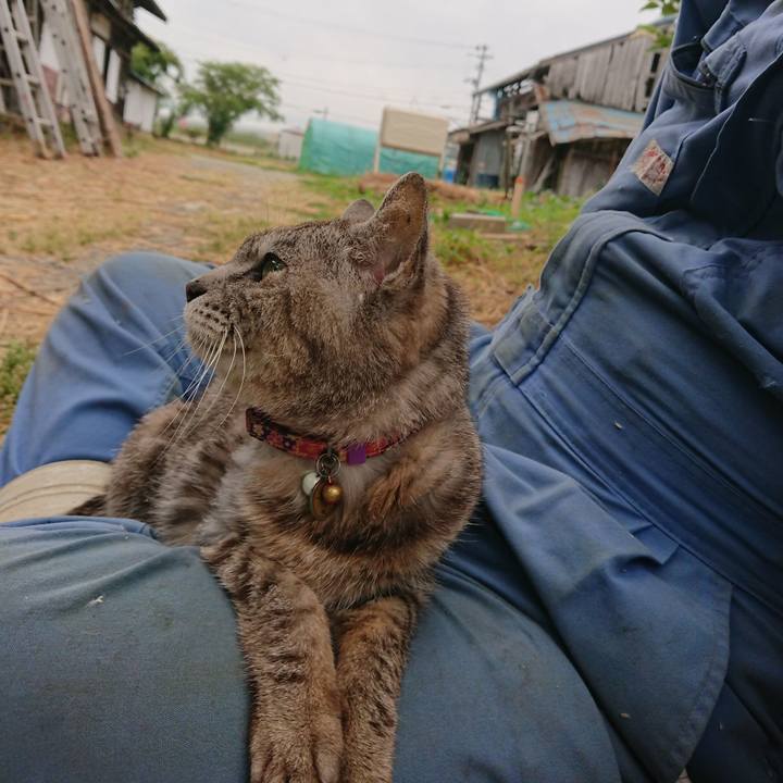 F745cecc 1a69 4cbc 82c2 2f51e87b0242 1591997672351