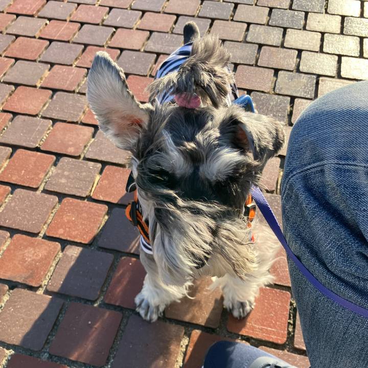 F746114c cfe8 46c0 b7e2 a74f821b5484 1728830254959