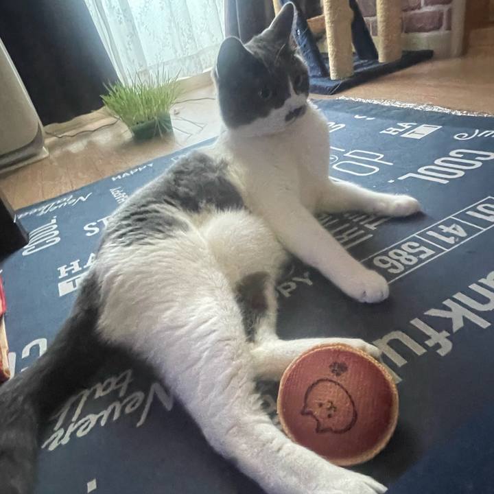 F746355b 5aa9 4116 ad1f 43bc324dd740 1720129855303