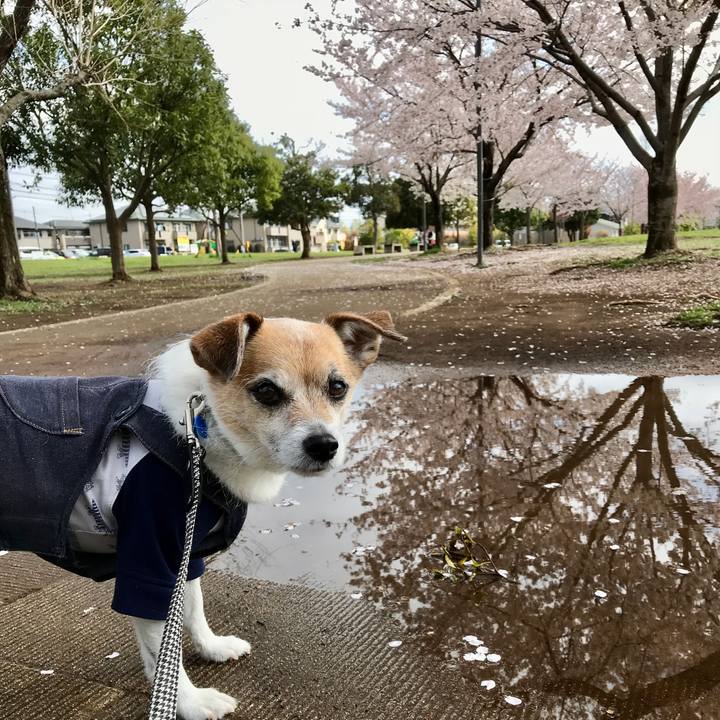 F7467fba 608c 48d7 8990 607e9e4bdcc8 1616979913990