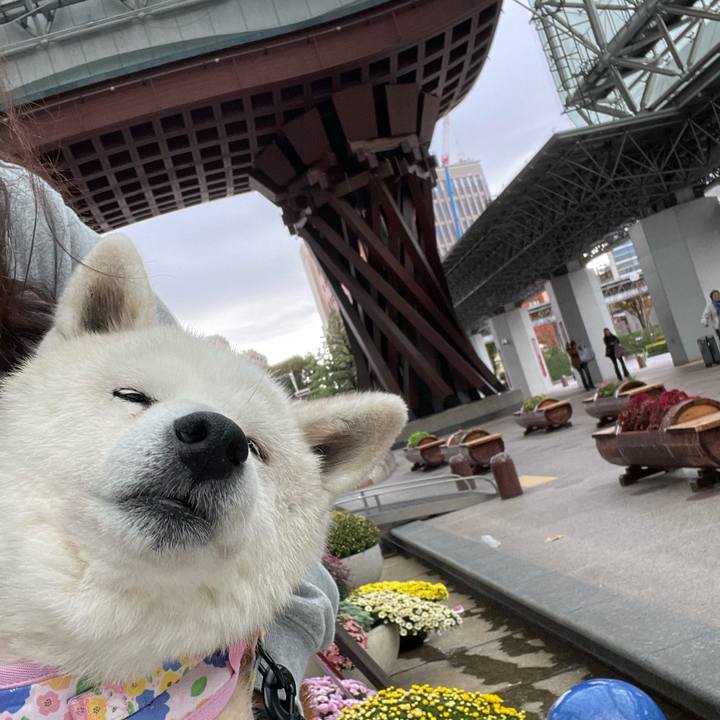 F746849d e053 4688 90ad 2a38894e578f 1762145801020