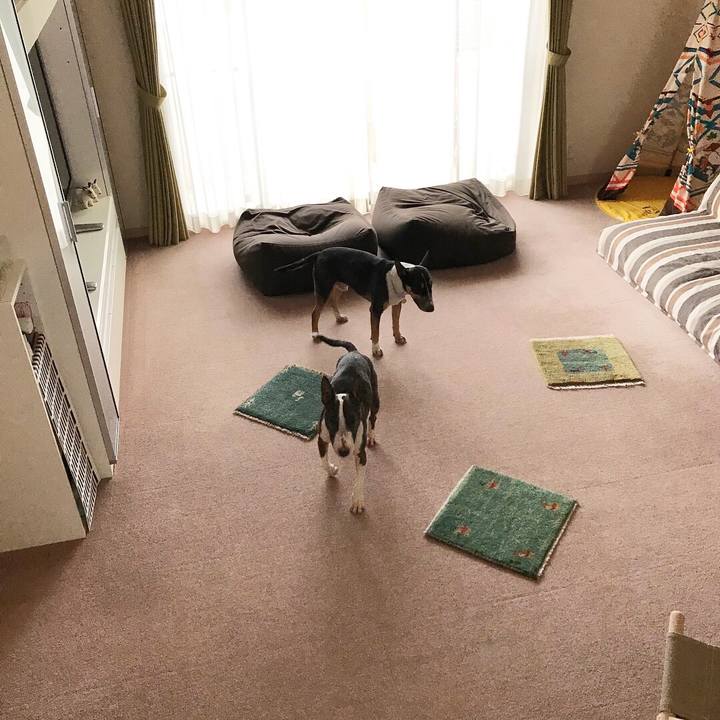 F7469d3b 93e5 4c21 96bb fb3214f4d03c 1521368087464