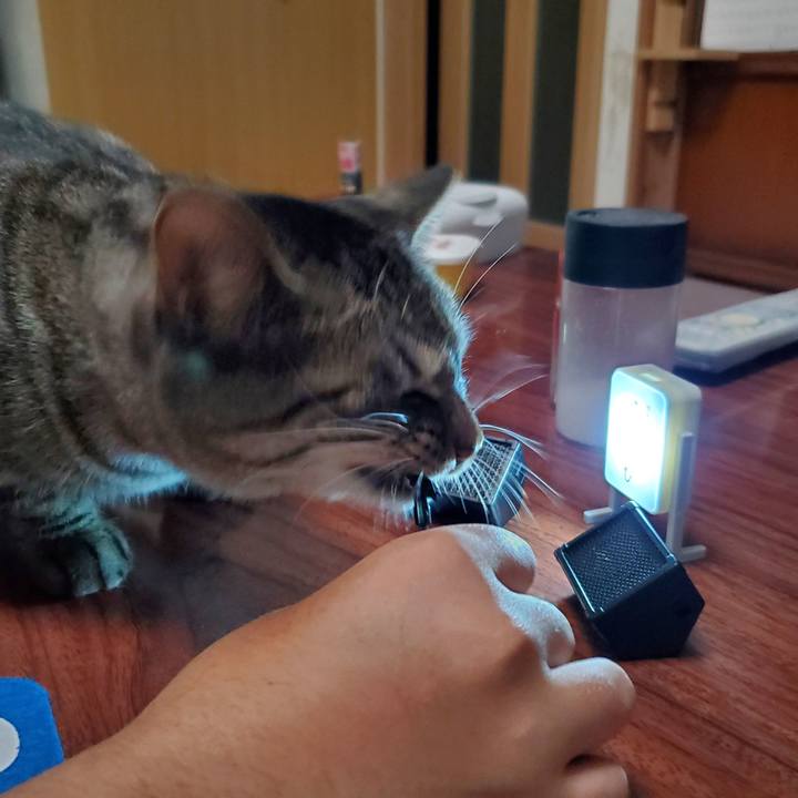 F746a23a bbbd 4cb3 81cd e7c430fe7d93 1700915750194