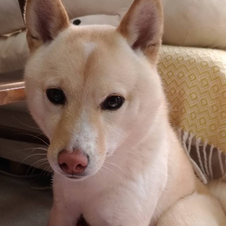 F746c4ed 510f 481e 881c d816301d8e87 1552179540322