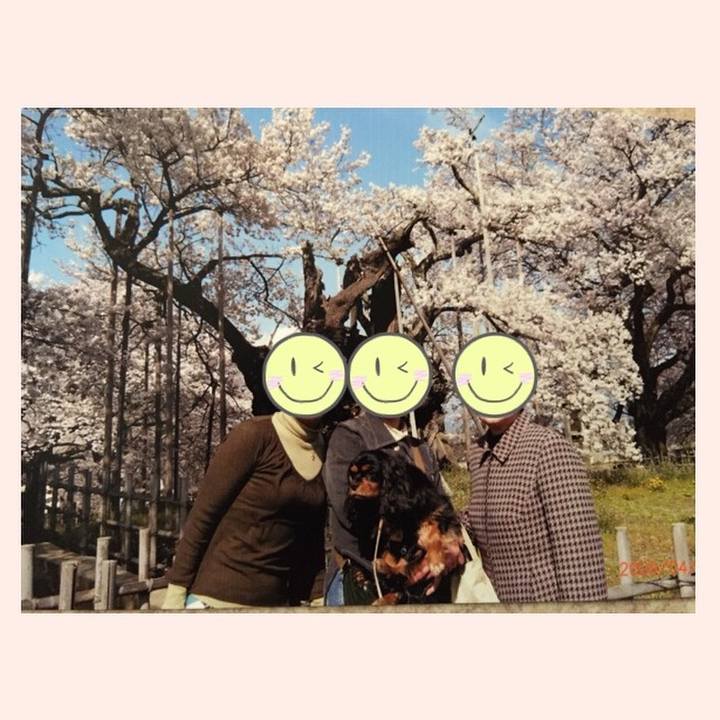 F746e4ff 3fdb 43b1 a02b c340d7575a1b 1522040591005