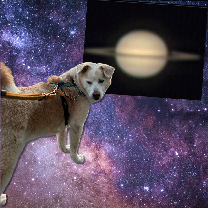 F746e829 fc0e 4d80 a0b0 ea09c627e982 1742801139647