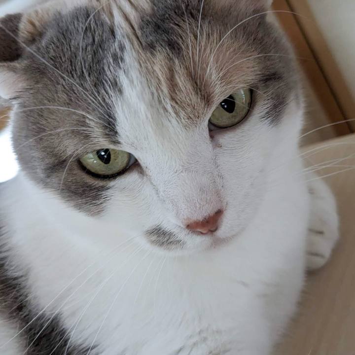 F7471518 9d6d 4dd2 aa2a af9c428ae0ee 1687839867185