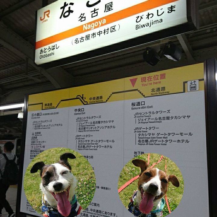 F7477523 73fc 485f 9483 8c2b21225790 1573639712475