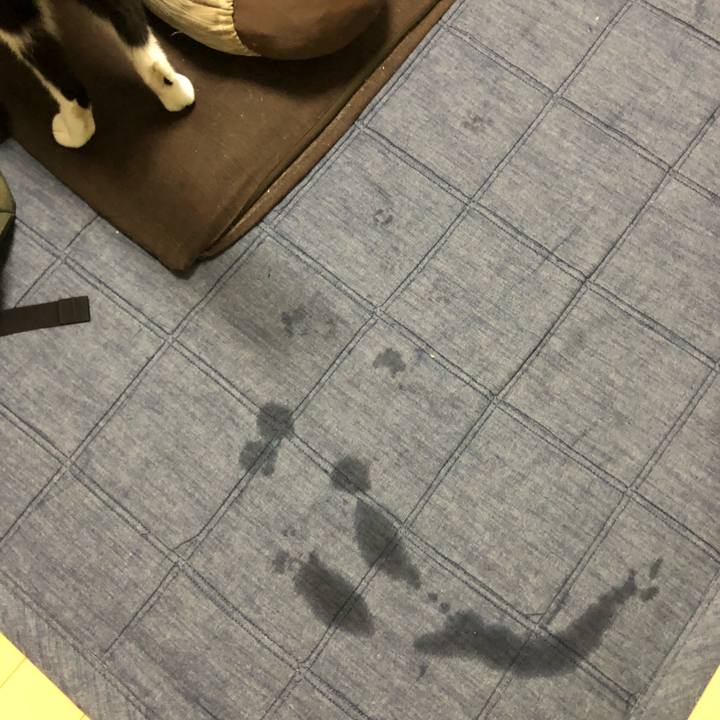 F747865f c44e 4ab9 8431 4f27bd3bcc25 1535645437808