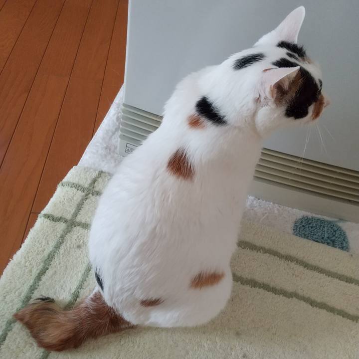 F7479111 503e 4998 8d2e b570da83e8bb 1707176512915