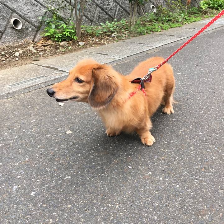 F747ddaa ba0d 4440 b22b 3bd0c6111fe3 1537094468472