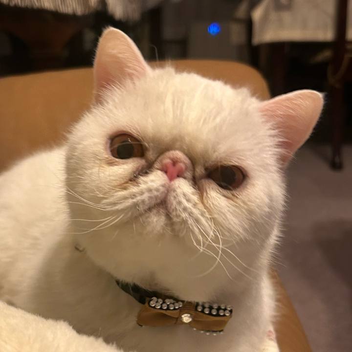 F747ffa7 12a9 4143 9ebb 3e30f56e4ffe 1764414040796