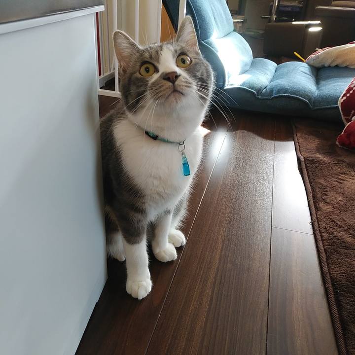 F74805f1 f09e 47e0 b582 e4fc31f88a53 1583882859408