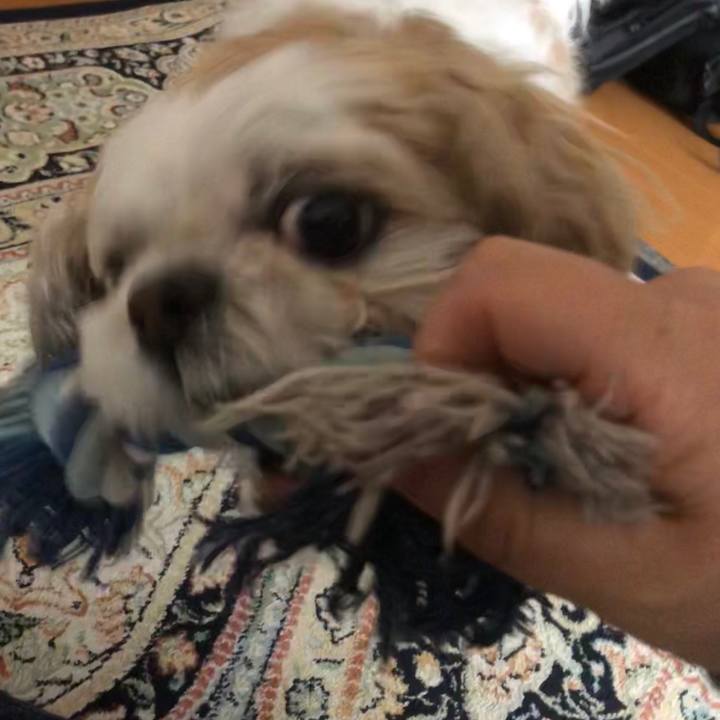 F748189c f749 47f7 aa59 24006781e631 1584308887666