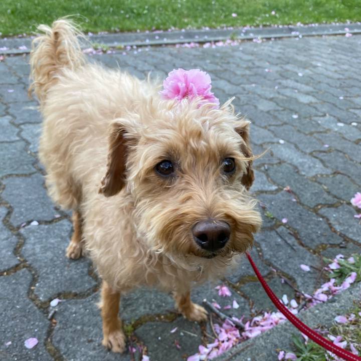 F74839aa d4d7 4816 9483 d3a9e5954c4c 1652863461825