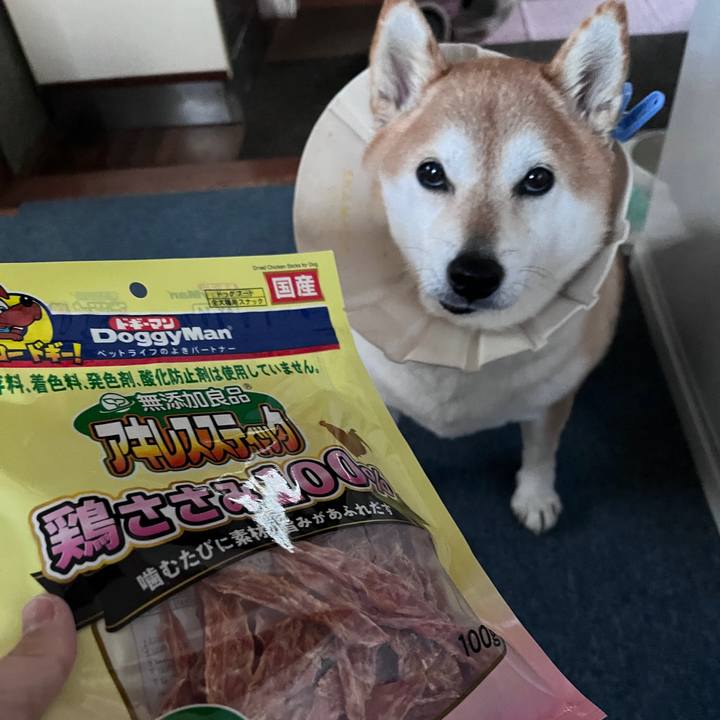 F7483e8c 3fdd 4987 981c 710a3201fea1 1707297022923