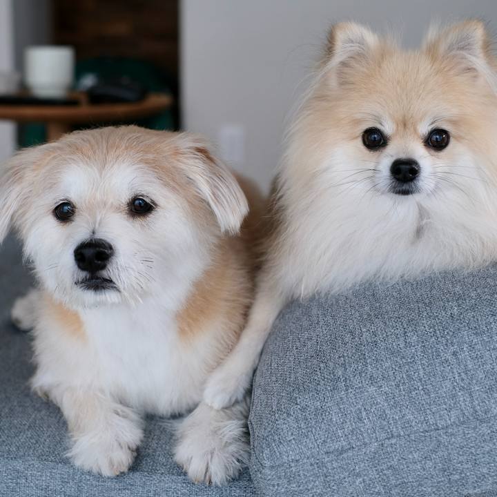 F7484a54 56ee 4b5d 8562 7939b56e4fdd 1757799602177