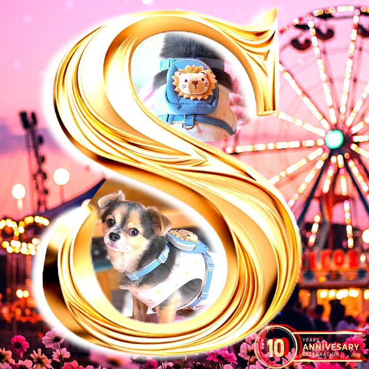 F7484deb a20b 4167 abba 110e57643ead 1762137106085