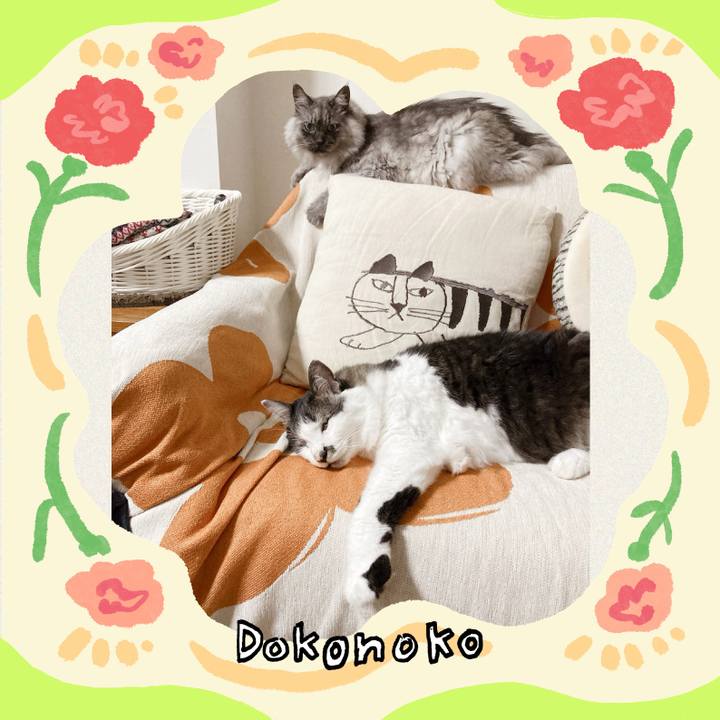 F74866e1 9024 4630 b4c2 fc245c15a73d 1715214237506