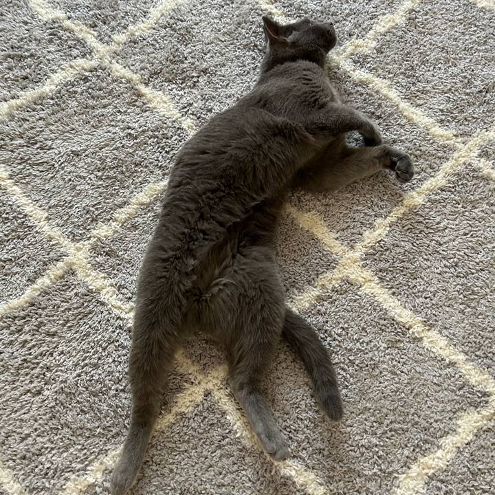 F7486e00 c3f5 4eed a0e4 5ae69e0b5a0e 1692589919928