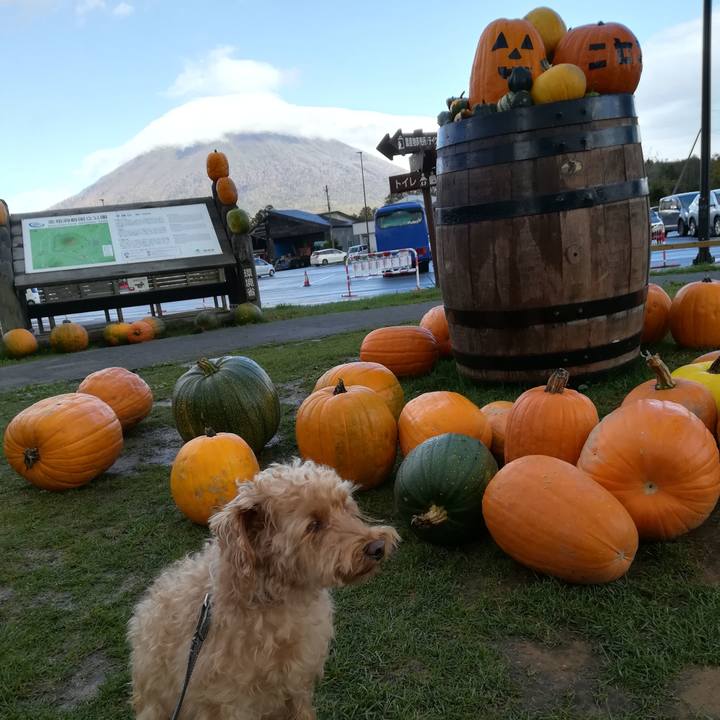 F748c116 1982 4625 907f 5678c78b318c 1539321682214