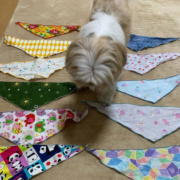 F748d672 866d 4a83 9323 8de98c89b19b 1606025968203