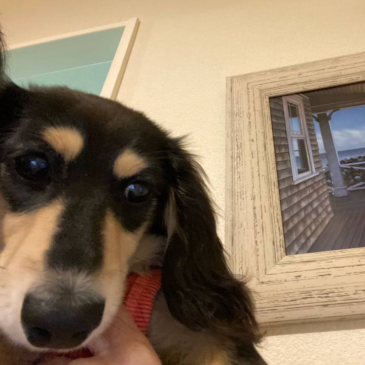 F7491204 6431 4bf0 83d2 2cef788ce2b3 1676973602630