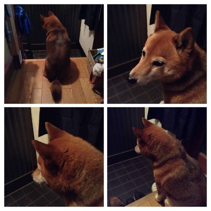 F7491cd4 472e 46ef b4b5 2f85803a8e58 1519990843653