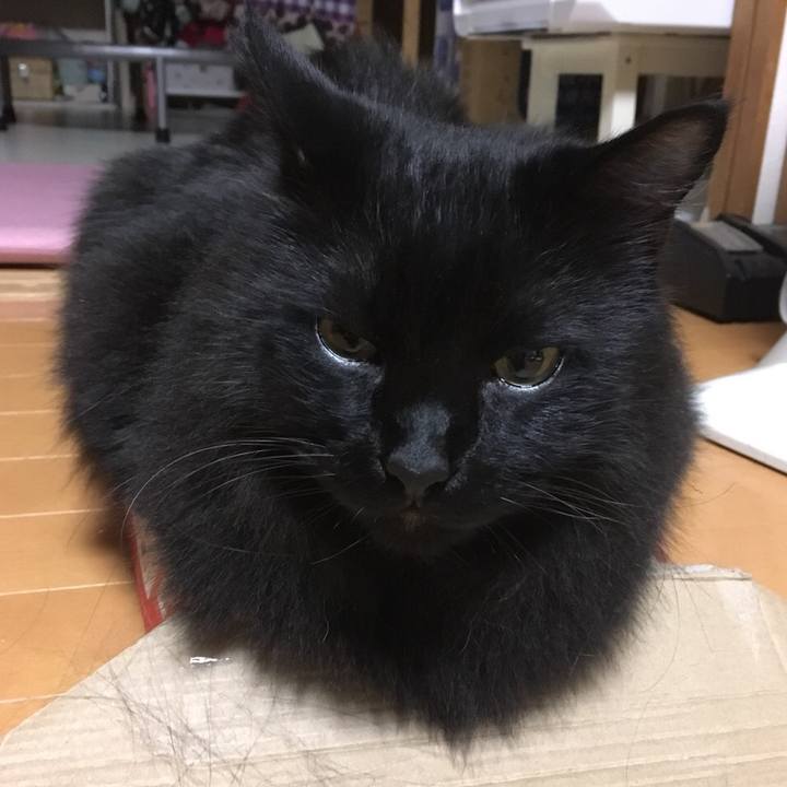 F7492915 c5a4 4113 87ac 77df7f4935f5 1542060126772