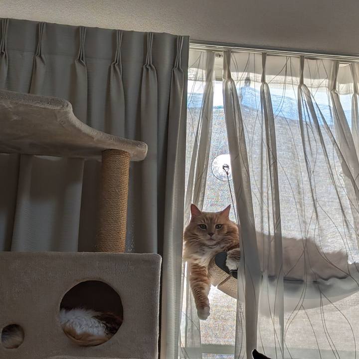 F74940f4 8978 4b73 973d 7150f883e9e6 1706699770881