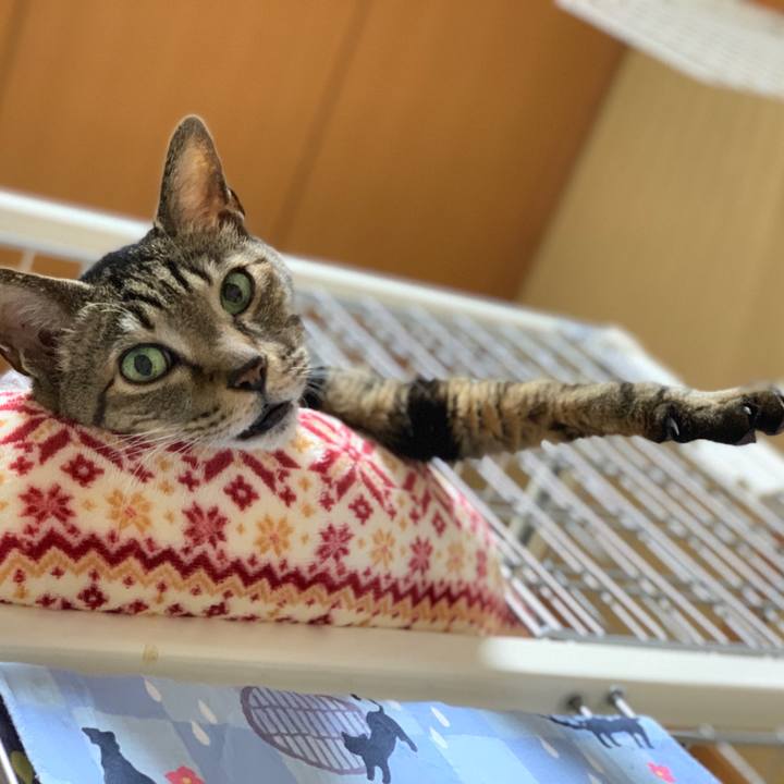 F74966a5 5f20 4841 a59c 11790e2a4cf2 1590022547055